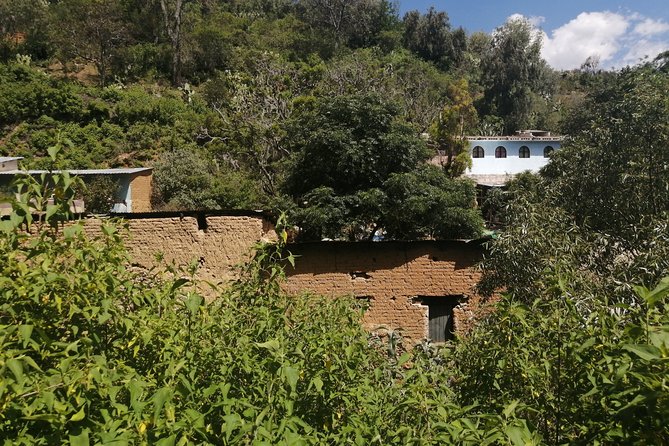 Nature Walk – Bufa Hill or Santa Rosa Area