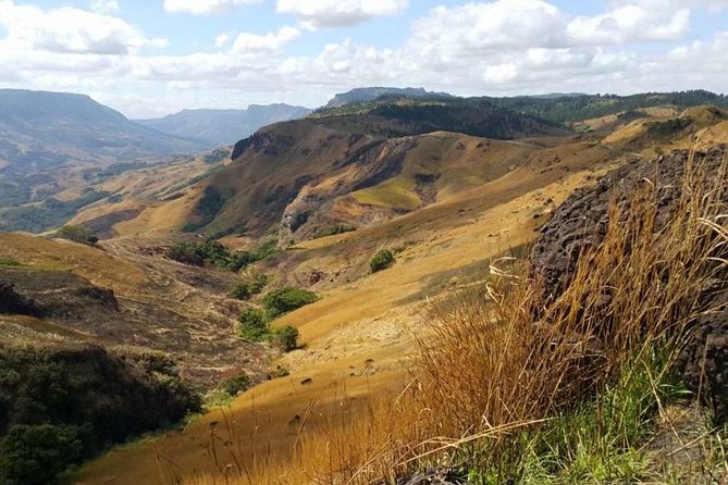 Nausori Highland Waterfall Tour (Nadi)