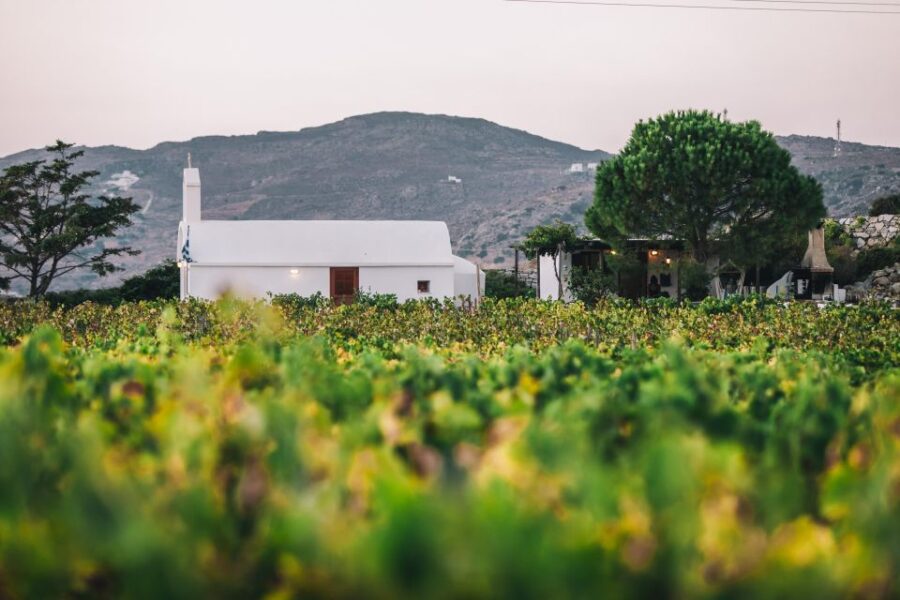 Naxos Wine & Culture Tour
