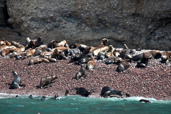 Nazca Lines & Ballestas Islands Private Tour From Lima - Itinerary Highlights