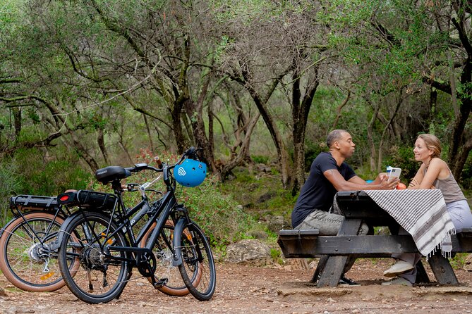 Nice Electric Bike Rental - Overview and Features