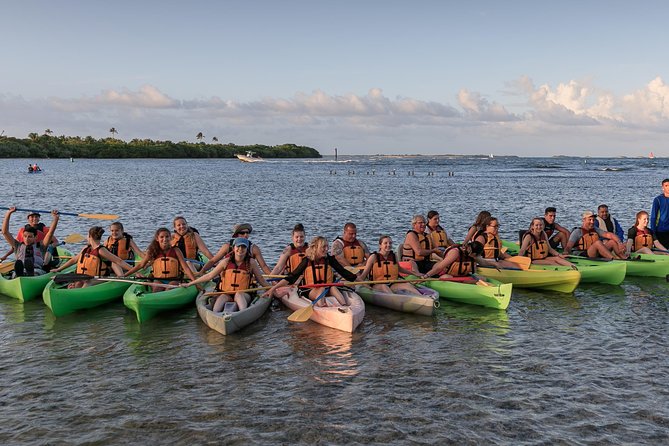 Night Kayaking Experience on Bioluminescent Lagoon in Fajardo