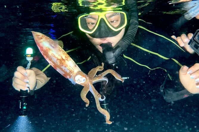 Night Snorkeling - Observation of Octopus and Other Species - Overview of the Activity
