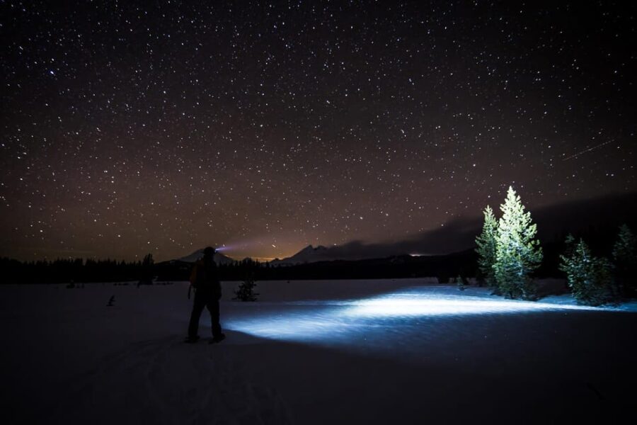 Night Snowshoeing Lapland Experience - Overview and Pricing