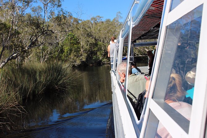 Noosa Everglades Cruise and Highlights Private Tour Inc. Lunch