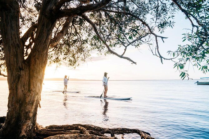 Noosa Hinterland Tour With Gourmet Lunch, Wine Tasting & Everglades Lake
