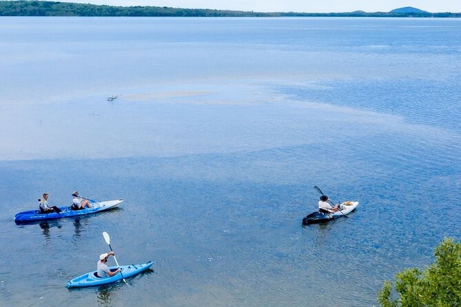 Noosa Sight Seeing – Explore Noosa by Ebike and Kayak .. New!