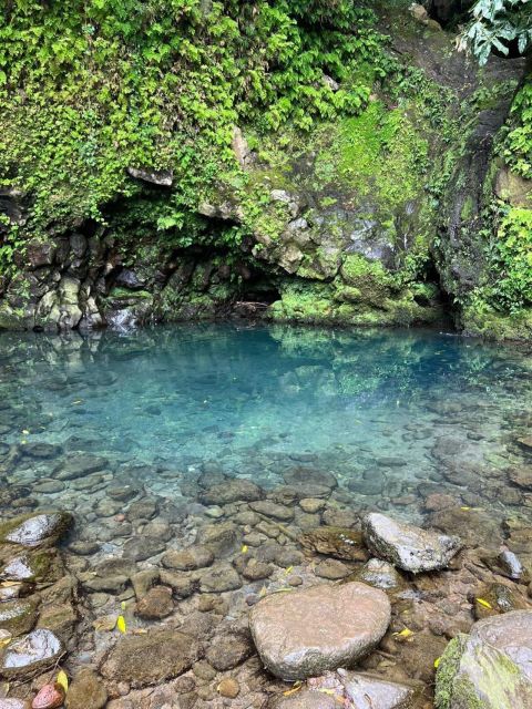 Nordeste Waterfalls Half Day Hike - Tour Overview