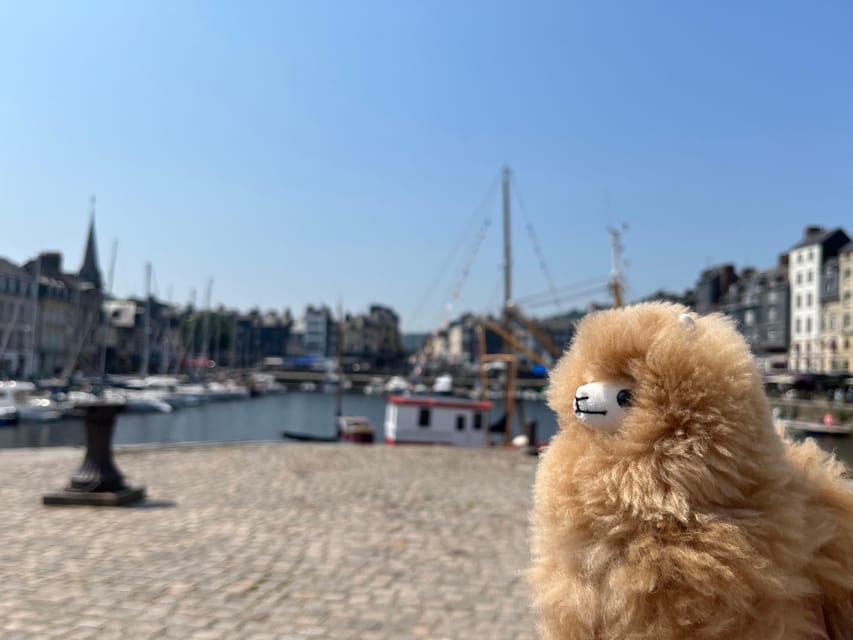 Normandy Tour: Honfleur, Etretat, Rouen by Mini-Van - Tour Overview