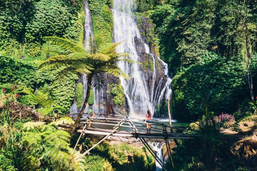 North Bali: Full-day Highlights Instagram Tour