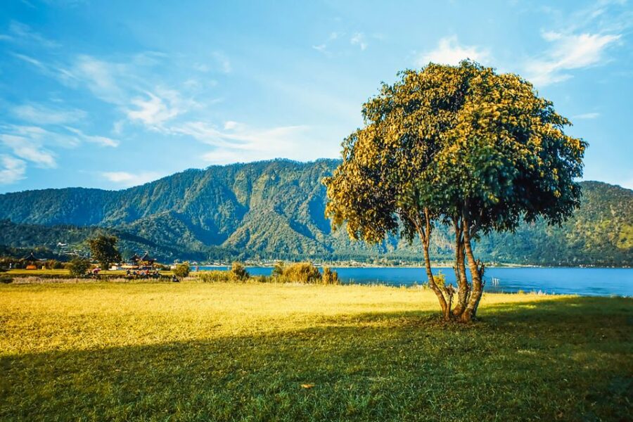 North Bali: Sunrise Tour With Dolphins, Waterfalls & Temples - Tour Overview