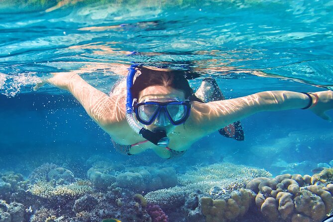 North Bay Snorkel