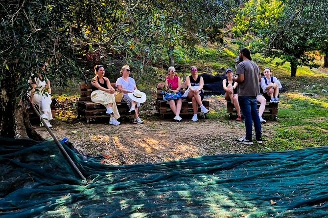 North Corfu Olive Tour With Olive Oil Tasting & Meze - Tour Overview