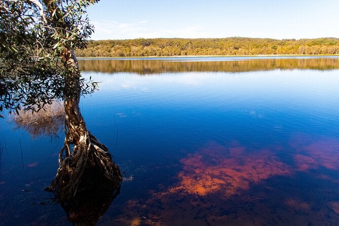 North Stradbroke Island Private Tour With Pickup - Tour Details