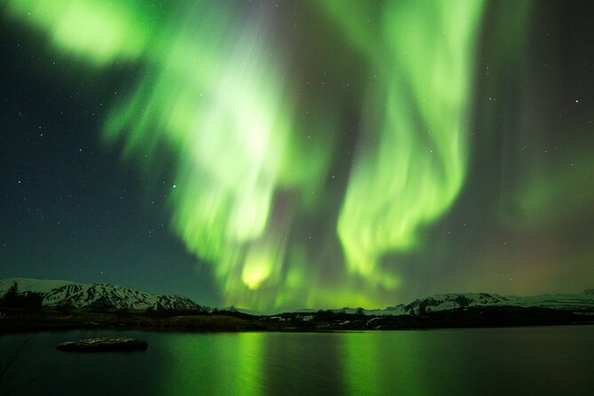 Northern Lights Cruise From Reykjavik - Overview of the Northern Lights Cruise