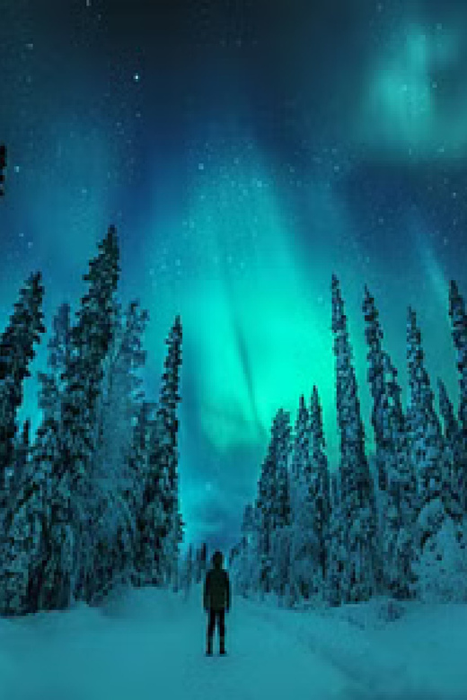 Northern Lights Hunting With Aurora Workshop
