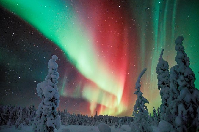 Northern Lights Photography Tour From Rovaniemi - Tour Overview and Details