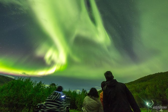 Northern Lights Private Tour With Your Special Ones - Greenlander - Private Guide and Experiences