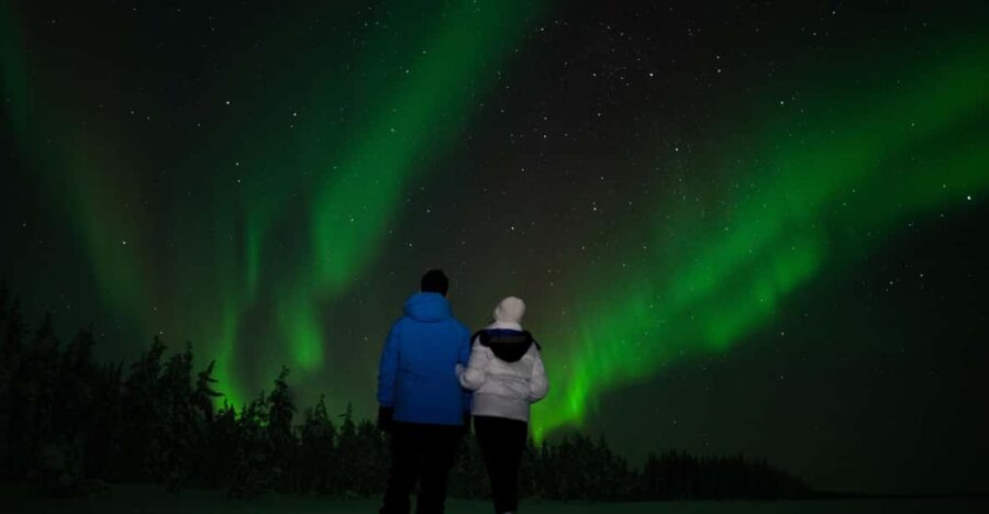 Northern Lights Reindeer Sledge Ride