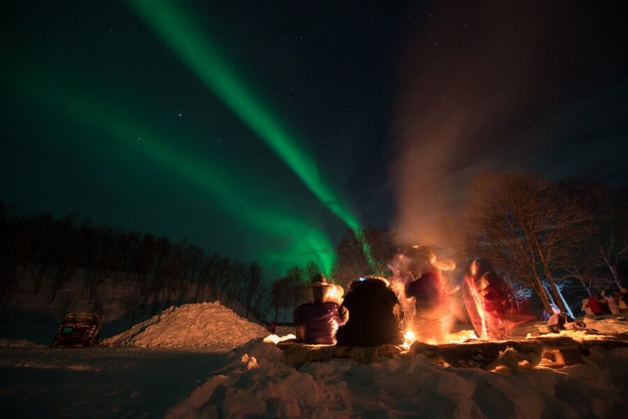 Northern Lights Tromsø - Small Group Tour With Local Guide