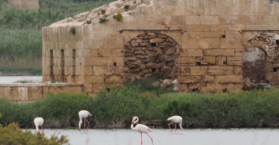 Noto: Guided Trekking and Birdwatching at Vendicari Reserve
