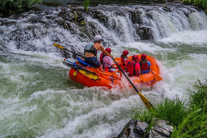 Nugget Falls Class IV Half-Day Rafting on the Rogue River