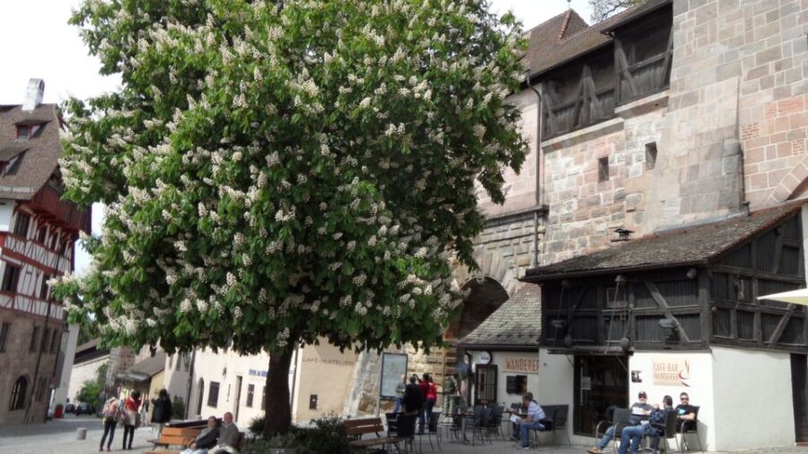 Nuremberg: Self-guided Old Town Discovery Walk for Families - Tour Overview