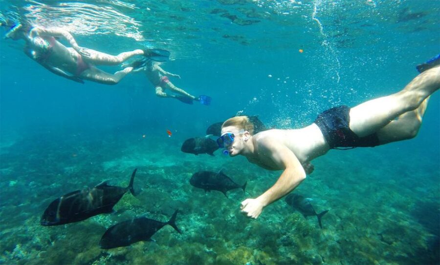 Nusa Penida: 4 Spot Snorkeling and Land Tour - Overview and Pricing