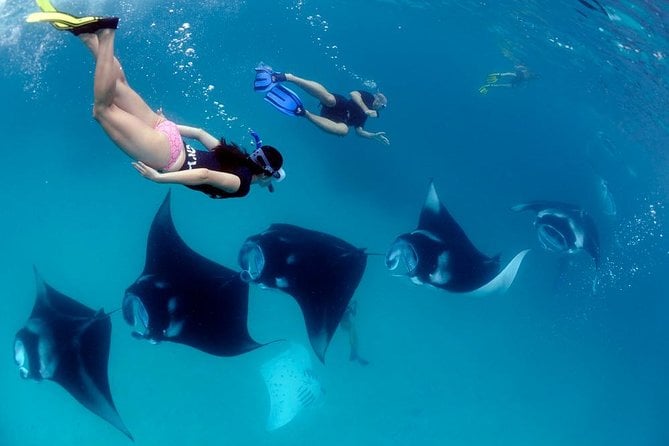 Nusa Penida Snorkeling Adventure (Private & All-Inclusive)