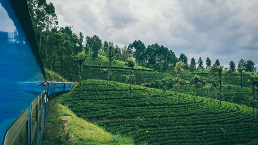 Nuwara Eliya by Train With One Night Stay at Little England - Experience Overview