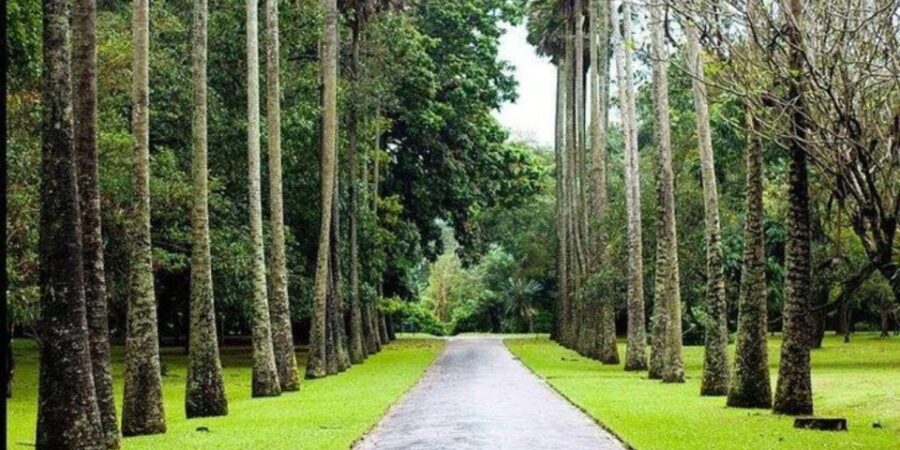 Nuwara Eliya: Countryside Exploration Tour by Tuk-Tuk!