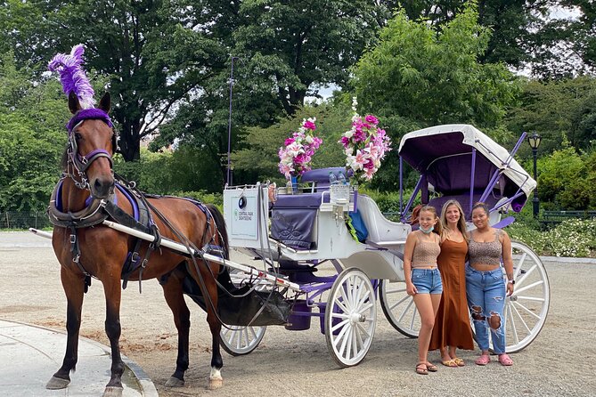 NYC Central Park Horse Carriage Rides - Meeting and End Points