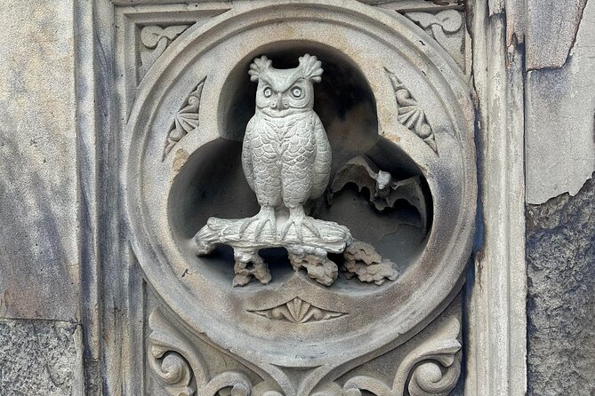 NYC Central Park Tour - Traveler Reviews and Ratings