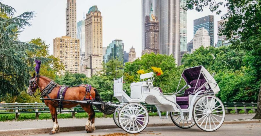 NYC: Guided Central Park Horse Carriage Ride - Tour Overview and Pricing