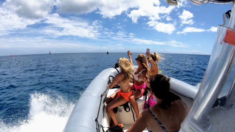 Oahu: Waikiki Private Snorkeling and Wildlife Boat Tour