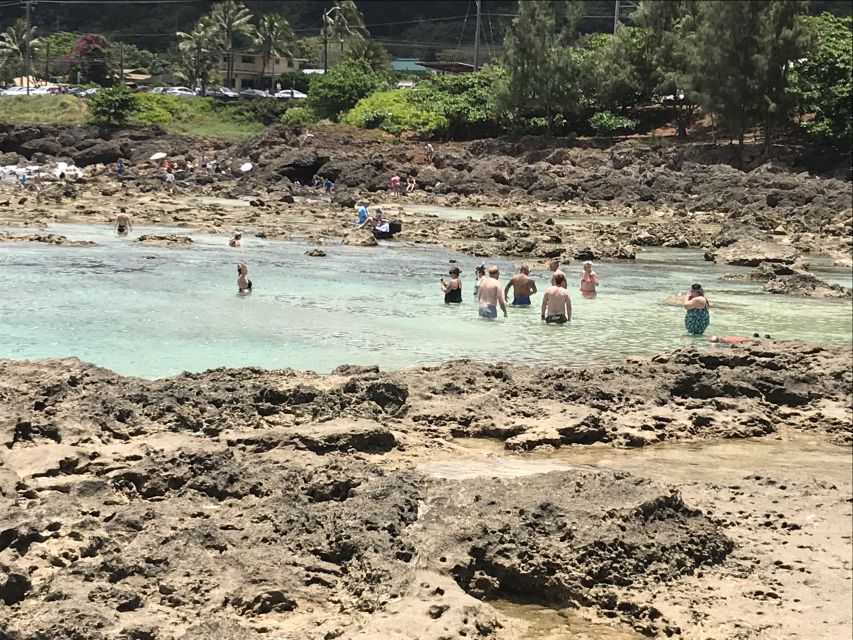 Oahu: Waimea Falls & Valley & North Shore Day