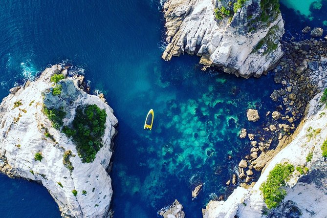 Ocean Leopard Tours - Cathedral Cove Boat Tour