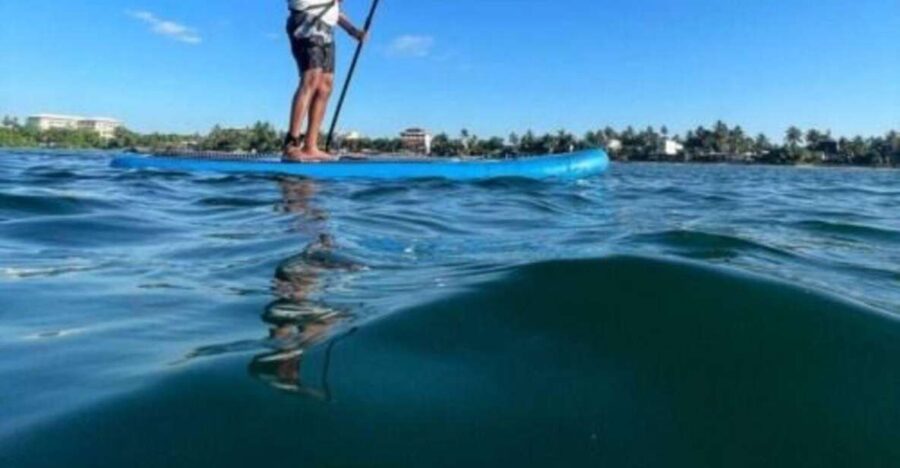 4 Best Canoe And Kayak Experiences In Galle