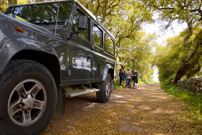 Off-Road Tour: Travel Inland - Vehicle Options for the Adventure