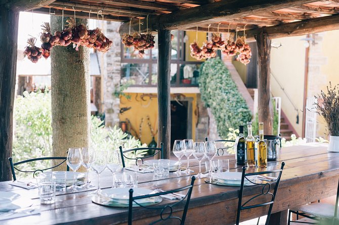 Off Road Wine Tour From Castellina in Chianti