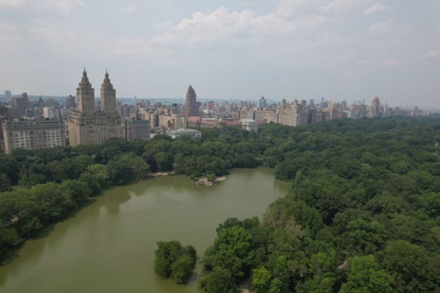 Official VIP Whole Central Park Horse Carriage Tour - Tour Overview