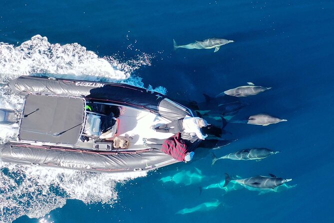 Offshore Snorkeling Adventure San Diego