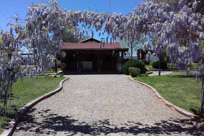 Ojos Negros Valley Wine and Cheese Route Tour in Baja California
