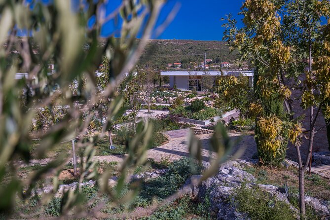 Olive Museum Klis With Educational Olive Oil Tasting - Exploring the Olive Museum