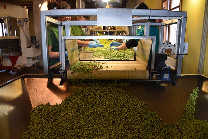 Olive Oil Tasting Tour