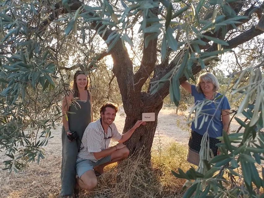 Olive Oil Tasting With Seminar in Kriopigi – Halkidiki.