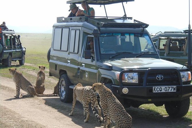 Olpejeta, Lake Naivasha, Masai Mara 5 Days Private Kenya Jeep Tour - Tour Highlights