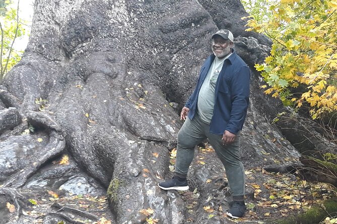 Olympic Peninsula and Forest Tour