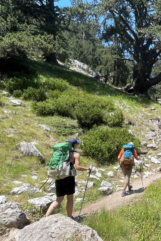 Olympus: Introduction to Mountain Hiking - Overview of the Hiking Trip