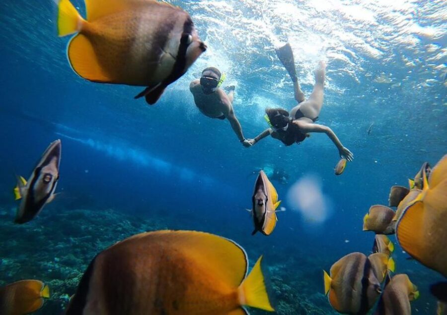 One Day Nusa Penida Island West With Snorkeling - Overview and Pricing